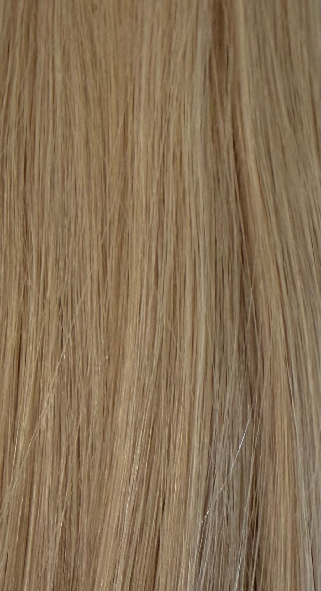 Signature Sew-In Wefts — Sandy Beige Blonde | Level 8