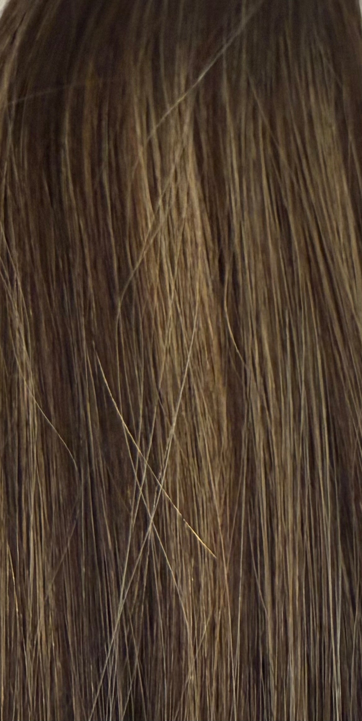 Signature Sew-In Wefts — Hazelnut Latte | Rooted Levels 6–8
