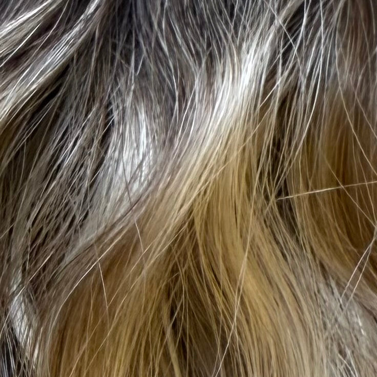 Signature Genius Weft — Iced Vanilla Rooted Blonde | Levels 4–9 | Natural Wave